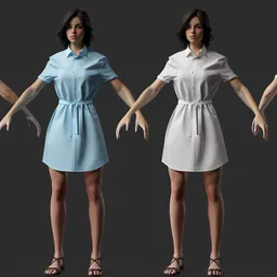 Shirt Dress Female Characte