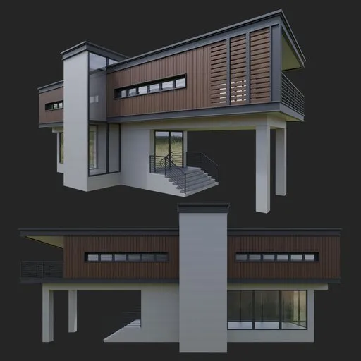 Modern wooden house