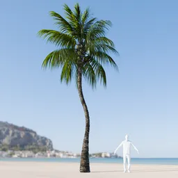 Coconut Tree Rigged and Animated