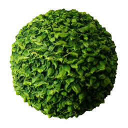 2K PBR realistic Hornbeam hedge material for 3D rendering in Blender and other apps.