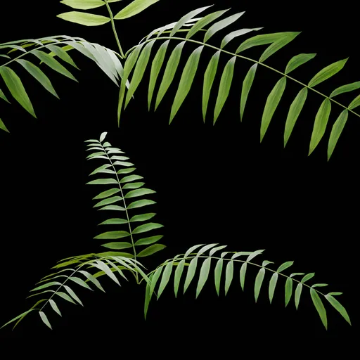 Outdoor Shrub