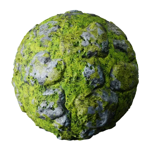 Rock Paving with Moss