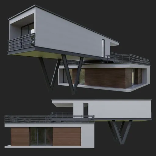 Modern wooden house