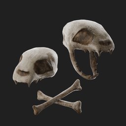 Skull and Bone