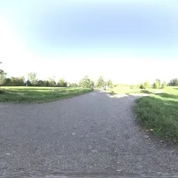 Cozy Bright Park Path