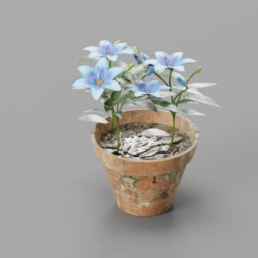 Blue Lily flower pot