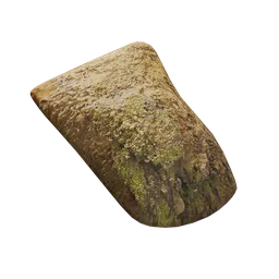 Tree bark debris