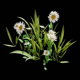 Outdoor Decoration Flowers