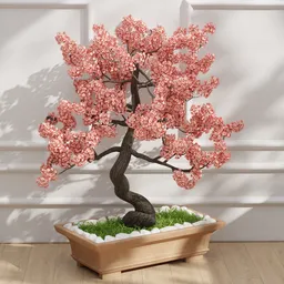 Pink Blossom Bonsai