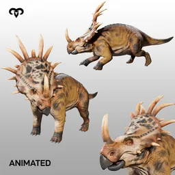 Styracosaurus Dinosaur Animated