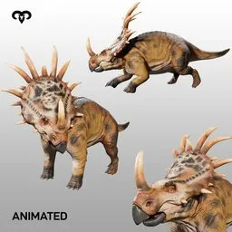Styracosaurus Dinosaur Animated