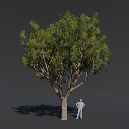 "Tree Black Board B1: High-quality 3D model for Blender 3D with PBR textures and materials, ideal for video game assets and expansive forestry scenes. Cinematics-ready for a grand scale effect. Future Mirimar avatar image available."