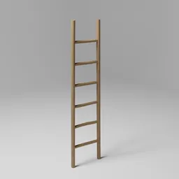 Ladder