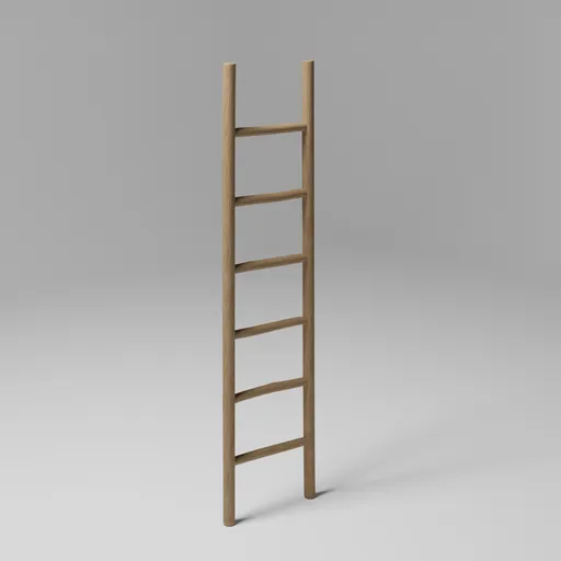 Ladder