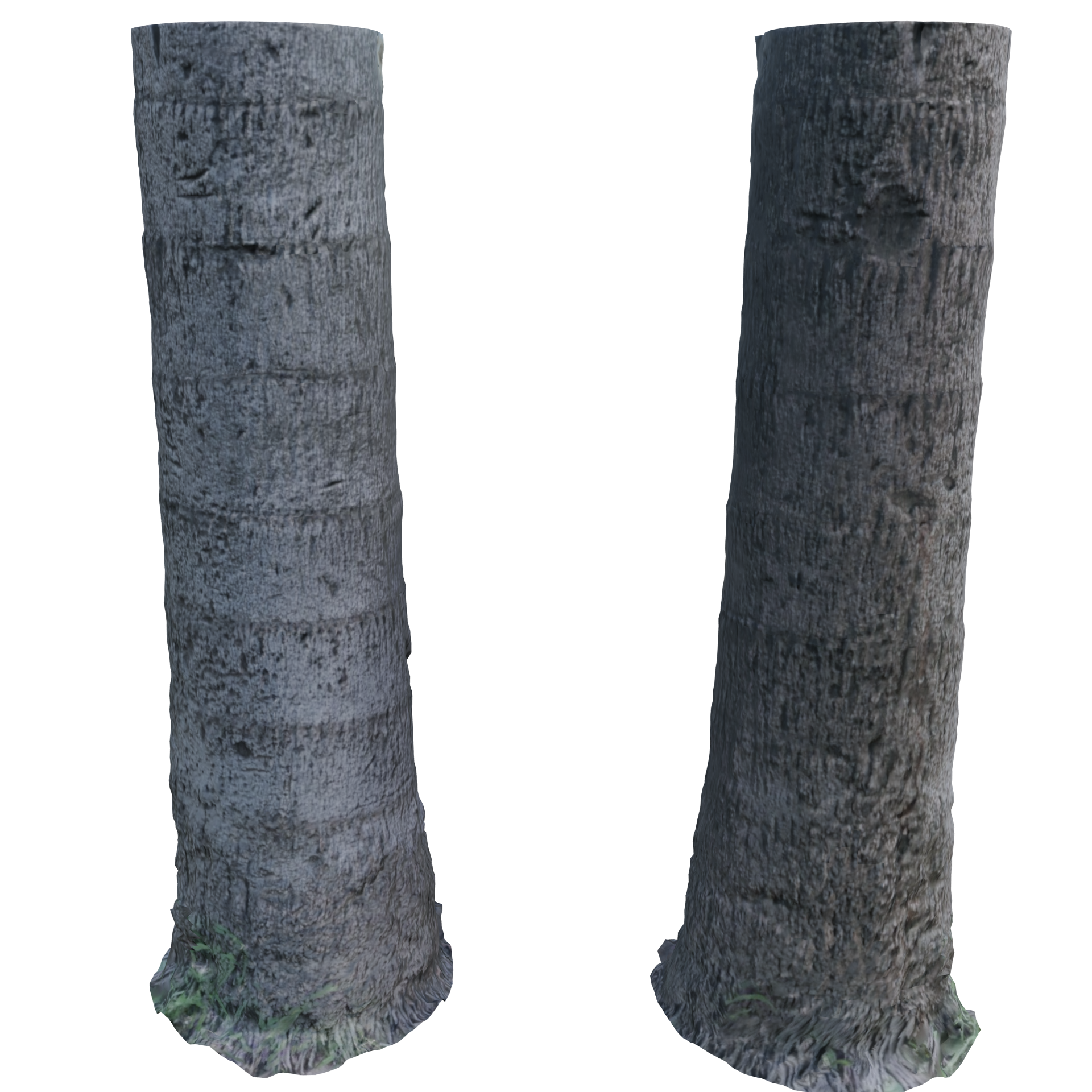 Tree scan FREE Trees models BlenderKit