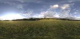 360-degree HDR panorama of a lush green field under blue sky for scene lighting.