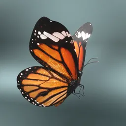 Realistic monarch butterfly 3D model with detailed textures and rigging, perfect for Blender animation and VFX.