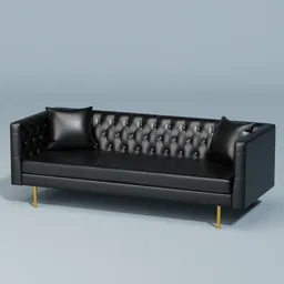 Black Leather Sofa