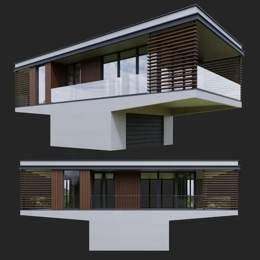 Modern wooden house