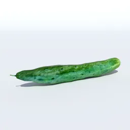 Cucumber
