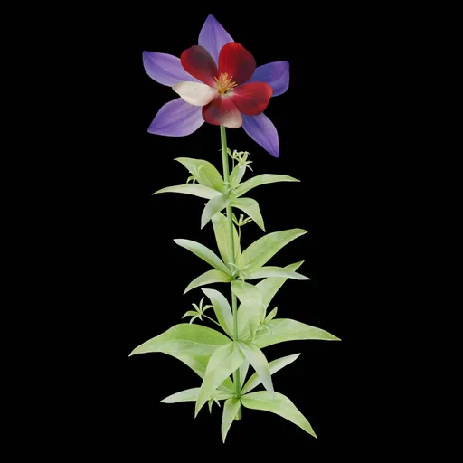 Realistic Flower