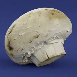 White mushroom organic food scan