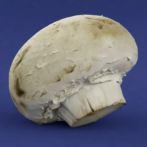 Realistic white mushroom 3D model with detailed textures for Blender rendering and kitchen visualization.