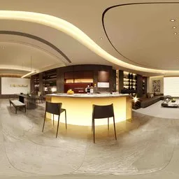 Modern Luxury Functional Bright Lounge