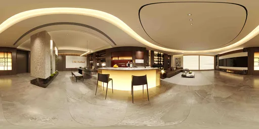 Modern Luxury Functional Bright Lounge
