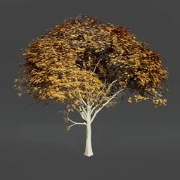 Oak tree animated
