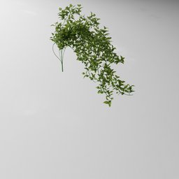 "Artificial tendril green v2" - a stunning 3D model of a plant in a vase on a table, overgrown with vines and basil. Created using Blender 3D with Redshift Houdini, Geometry Nodes, and the Bagapia addon. Perfect for nature-inspired indoor scenes and still life studies.