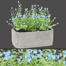 Concrete Planter with Blue Flower Bush