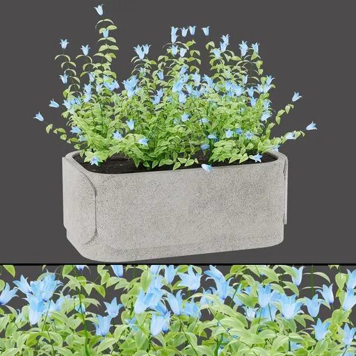 Concrete Planter with Blue Flower Bush