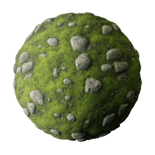 Mossy Forest Floor with Stones