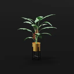 Heliconia Lobster Plant Med Potted