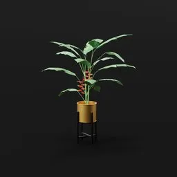 Heliconia Lobster Plant Med Potted
