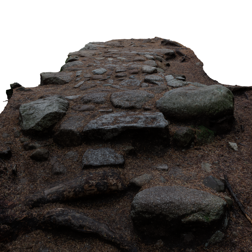 Rocky Hiking Trail Photoscan Terrains models BlenderKit