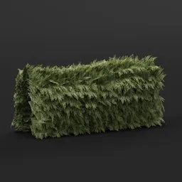 Red Cedar Hedge Straight 4M