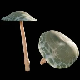 Mushroom