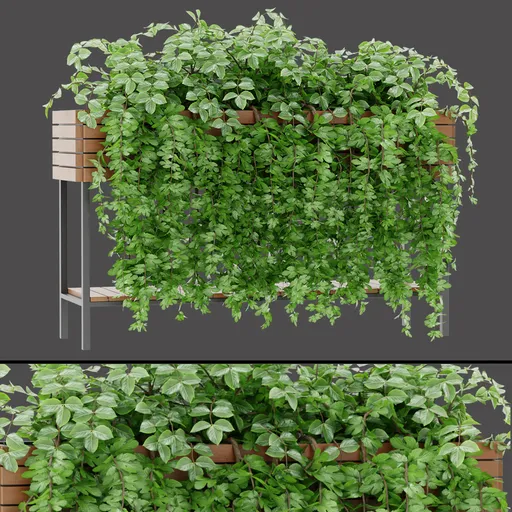 Modern Wooden Planter Plant