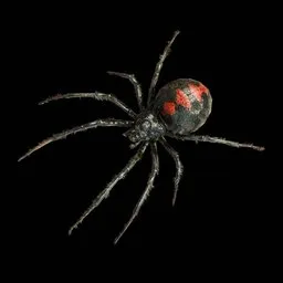 Real Spider