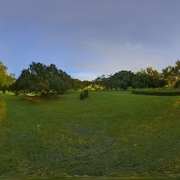 Green lawn at night