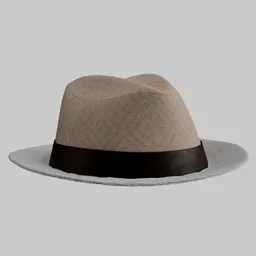 Elegant Stylish Hat