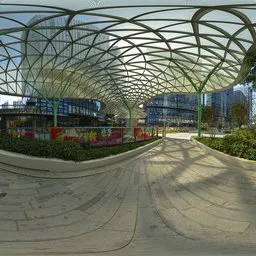 Afternoon under the rain shelter