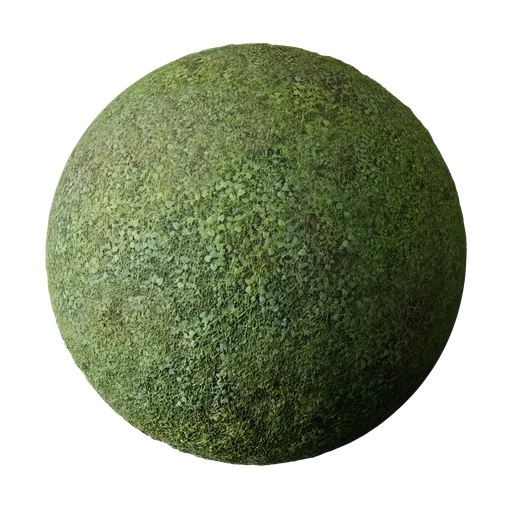 High-resolution grass plants PBR material with customizable options for varied 3D texturing.