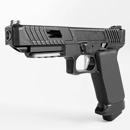 Gun