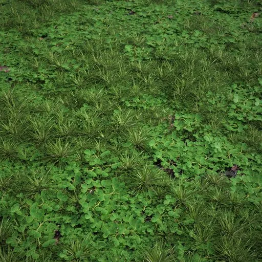 Detailed 3D model of European wild grass with clover patches for Blender, optimized for large areas and viewport performance.