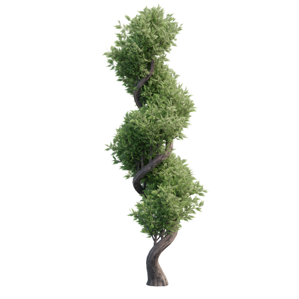 Tree Outdoor Plants models BlenderKit