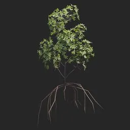Mangrove Plant + Geometry Nodes + animation