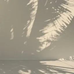 Realistic palm tree shadow texture for lighting effects in 3D scenes, compatible with Blender environments.